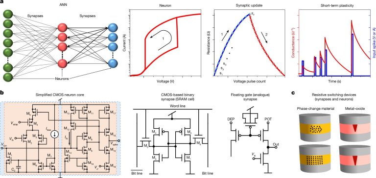 Un seul transistor agit comme un neurone et une synapse
