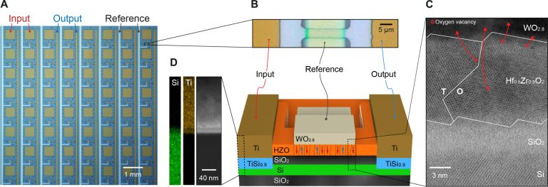`` Ai Super-Turing '' utilise moins d'énergie en imitant le cerveau humain
