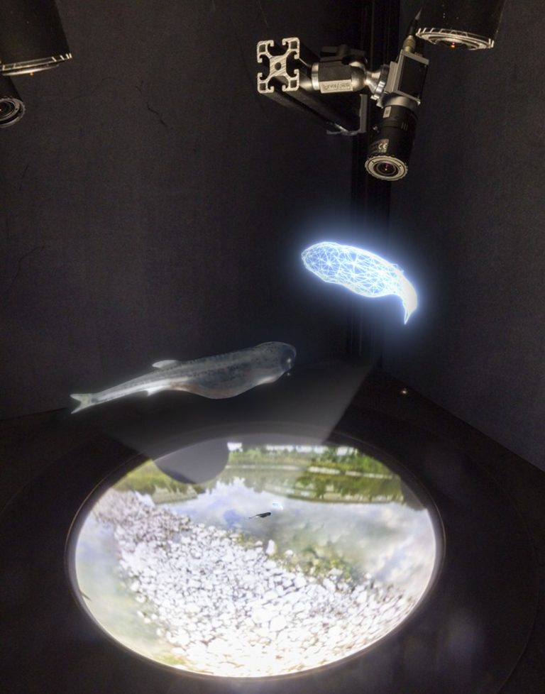 Les scientifiques utilisent la réalité virtuelle pour les poissons pour enseigner aux robots comment gras
