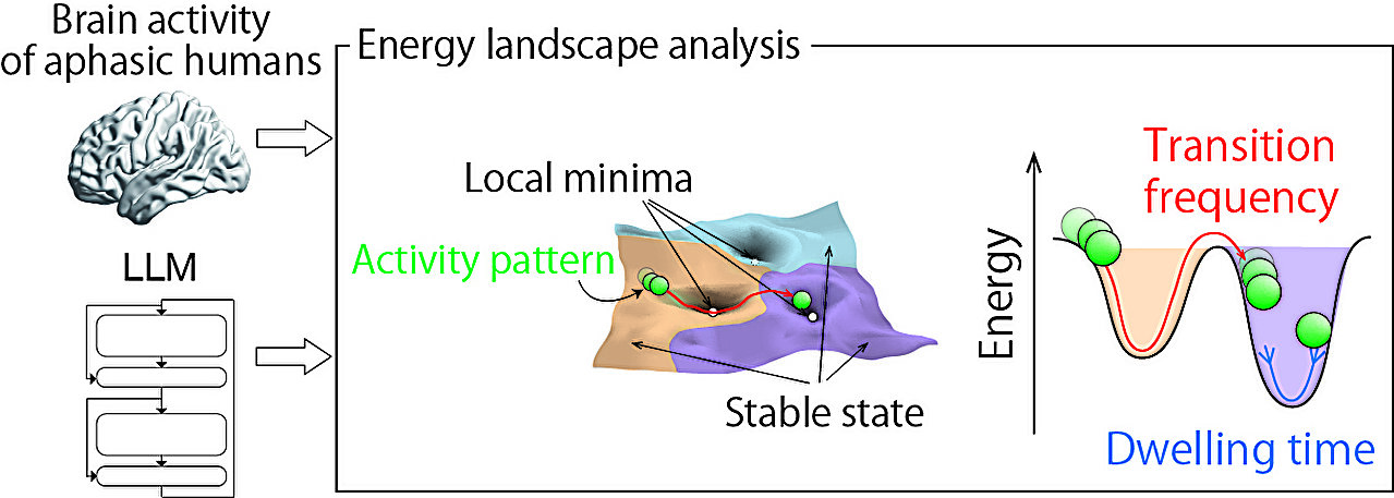 L'IA sur la confiance excessive reflète un trouble du langage humain