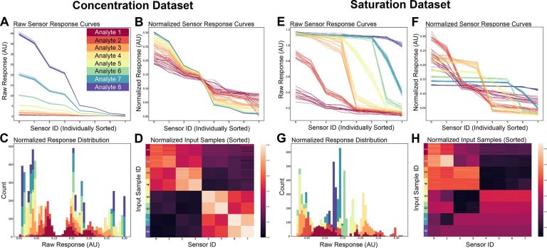 Le modèle d'IA imite le système olfactif du cerveau pour traiter efficacement les données sensorielles bruyantes
