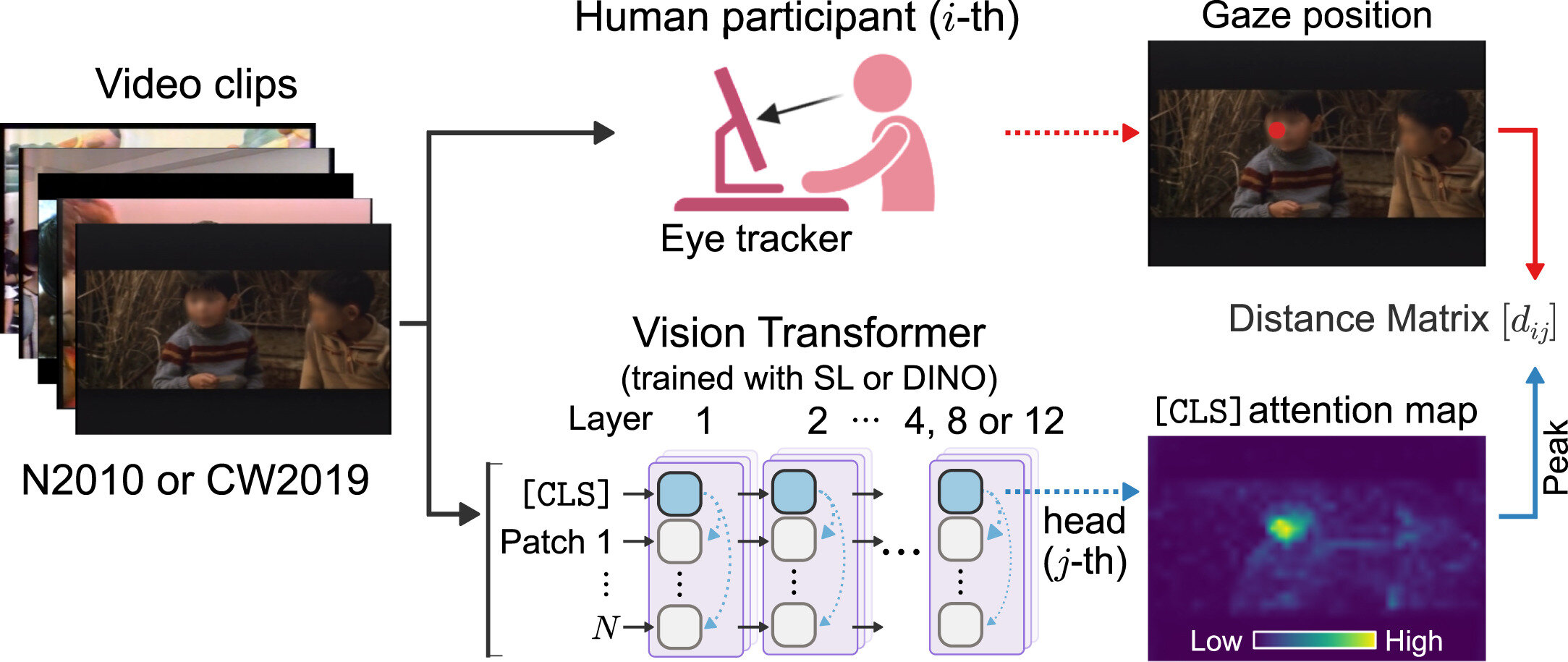 Les transformateurs de vision auto-formés imitent le regard humain avec une précision surprenante