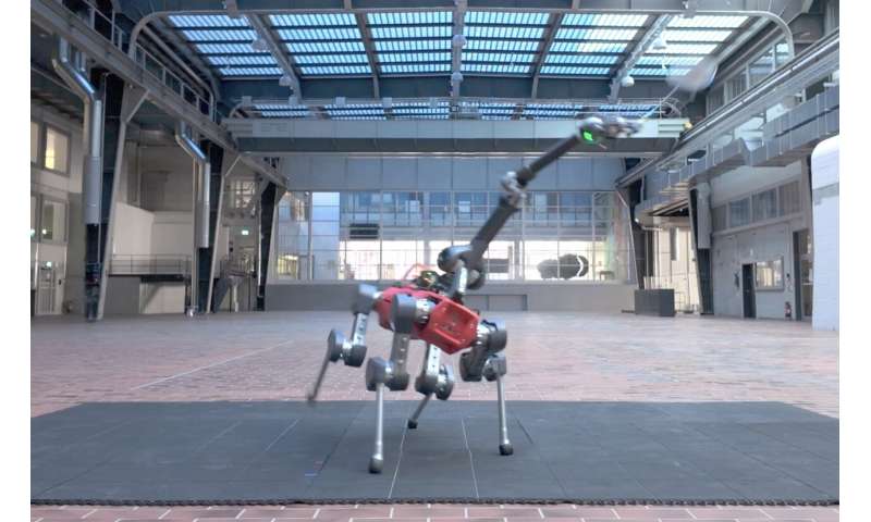 Le robot à quatre pattes joue du badminton avec les humains