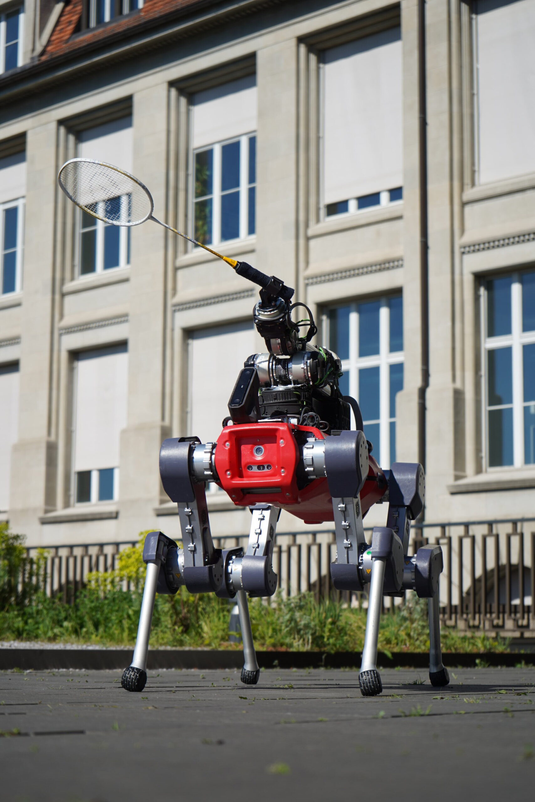 Le robot à quatre pattes joue du badminton avec les humains