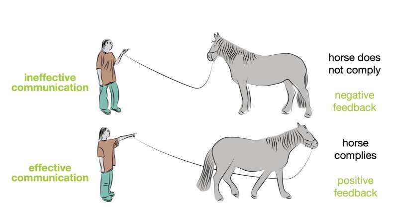 Inspiration des chevaux pour la nouvelle génération de robots sociaux