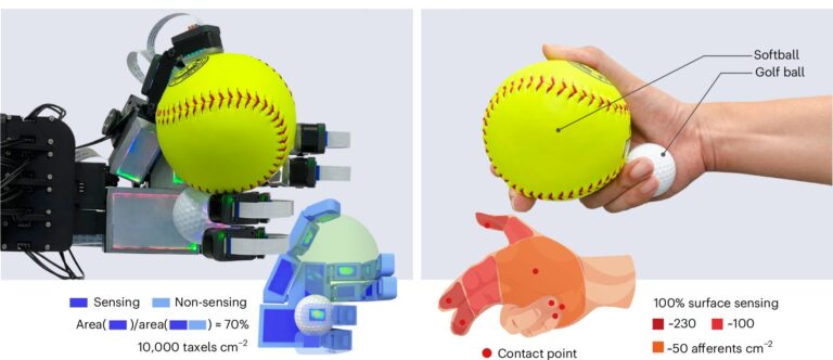 La main robotique avec une sensibilité tactile sans précédent atteint une dextérité humaine dans les tâches du monde réel
