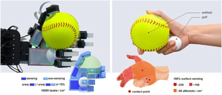 La main robotique biomimétique intègre de manière transparente la rétroaction tactile pour surpasser les prédécesseurs
