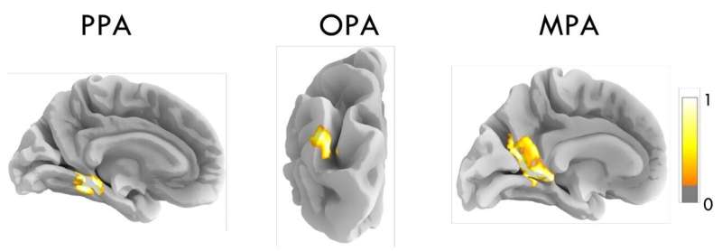 ROI sélectifs de scène. ROI sélectif de scène (zone de lieu parahippocampique, PPA; zone de lieu occipital, OPA; zone de lieu médial, MPA) Masques du sujet 004 dans l'espace du modèle MNI-152 (voir Méthodes SI pour plus de détails). Crédit: Actes de la National Academy of Sciences (2025). Doi: 10.1073 / pnas.2414005122 Ce que le cerveau humain peut faire que l'IA ne peut pas