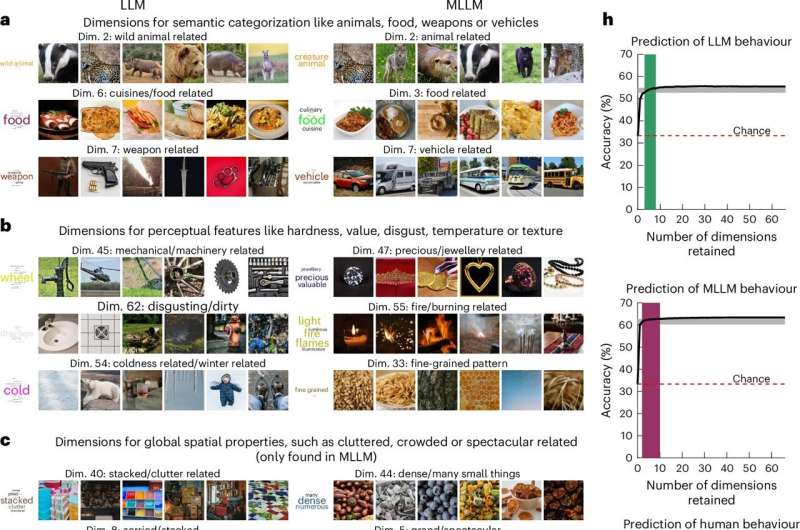 Les LLM multimodales et le cerveau humain créent des représentations d'objets de manière similaire, l'étude révèle