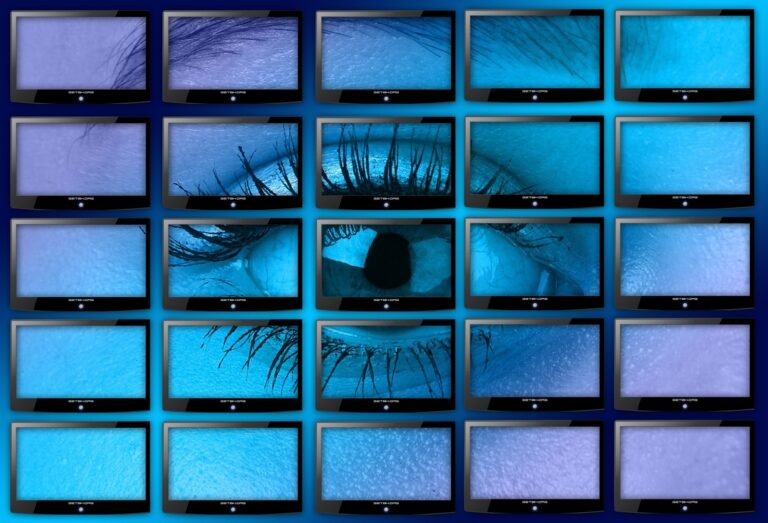 La surveillance omniprésente des personnes est utilisée pour accéder, monétiser, coercer et contrôler, suggère l'étude
