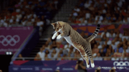 Olympiques de Michi