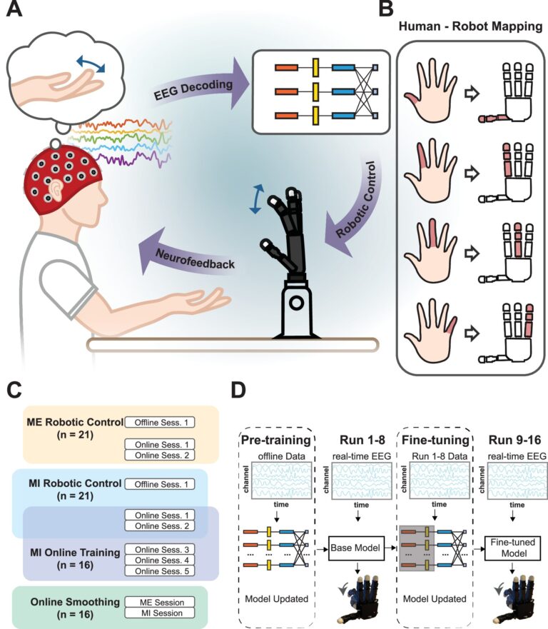 Interface du cerveau Le contrôle de la main robotique atteint un nouveau jalon au niveau du doigt
