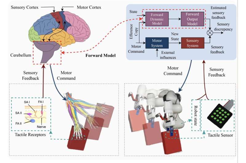 De nouvelles stratégies de calcul pour stabiliser l'emprise d'un robot sur les objets et les empêcher de glisser