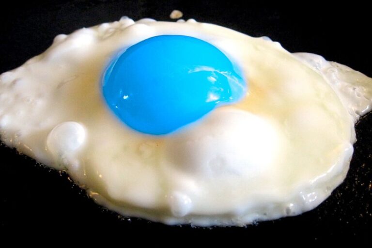 Oeufs au plat avec des jaunes bleus

