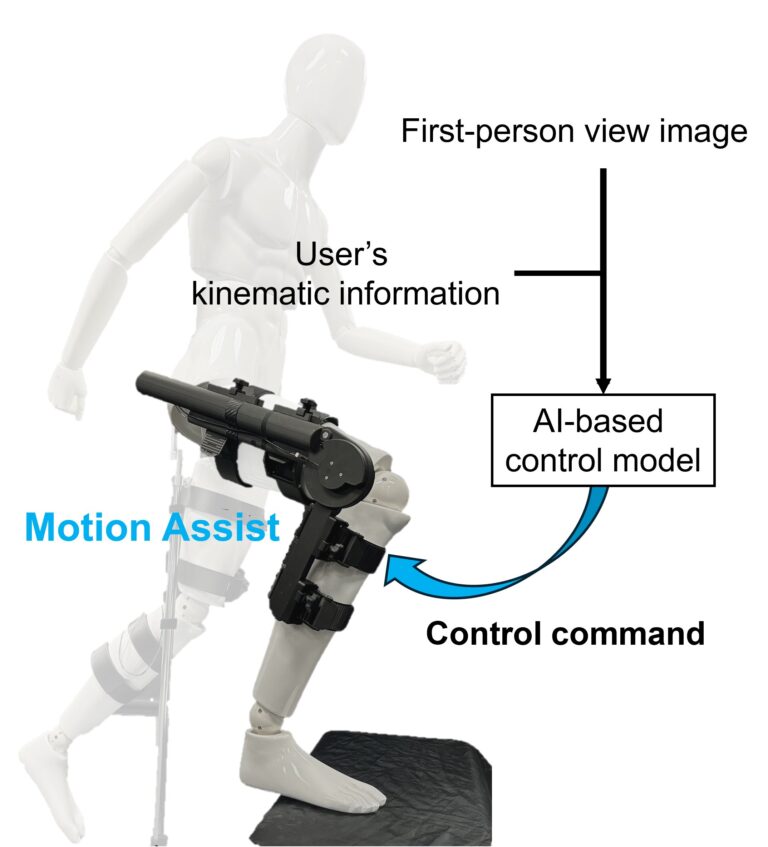 L'intelligence artificielle permet aux exosquelettes d'aider les utilisateurs plus efficacement

