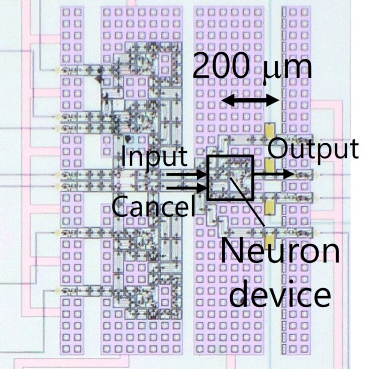 Une équipe développe un dispositif neuronal supraconducteur à grande vitesse et à très faible consommation
