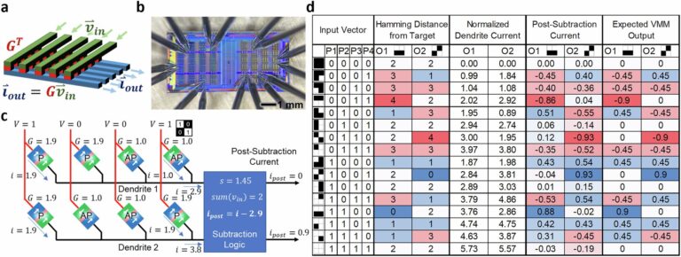 Un prototype informatique neuromorphique apprend des modèles avec moins de calculs que l'IA traditionnelle
