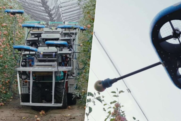un robot temporaire avec IA, drones et sans droits du travail
