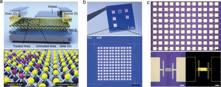 Les réseaux de memtransistors évolutifs montrent le potentiel de réseaux neuronaux artificiels économes en énergie
