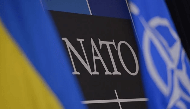 NATO Google Cloud