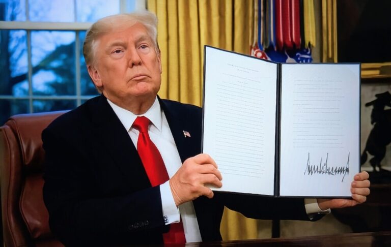 regole AI Usa