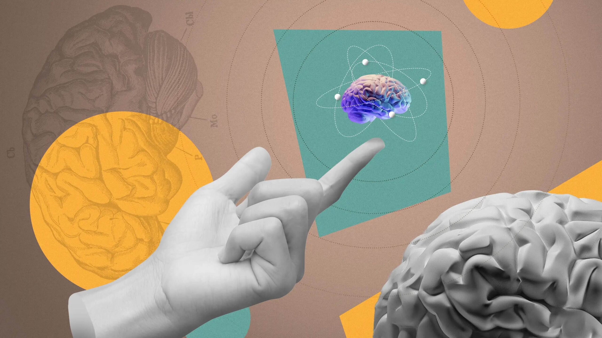 Small Language Model