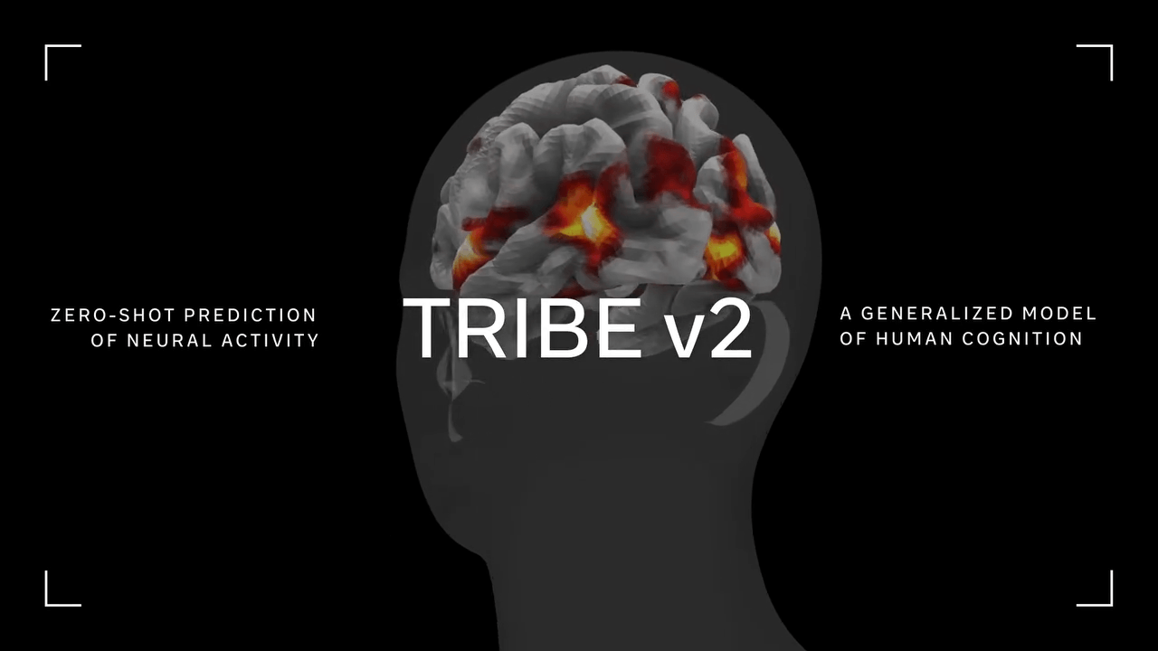 Tribe V2