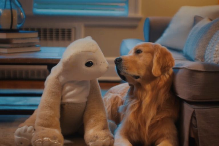 Le créateur du Roomba avait un rêve en tête depuis 30 ans et il l'a enfin réalisé : un aspirateur pour chien
