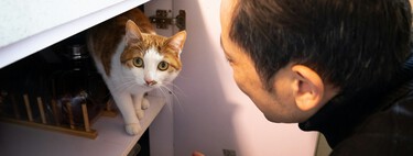 Nous avons essayé de comprendre les animaux toute notre vie : Baidu croit avoir la clé et l'a enregistrée dans un nouveau brevet