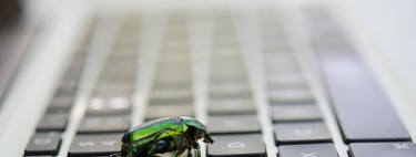 Par profession, chasseur de primes de bugs informatiques