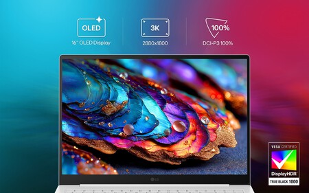 Écran Oled Gram Pro 16z90u 2026