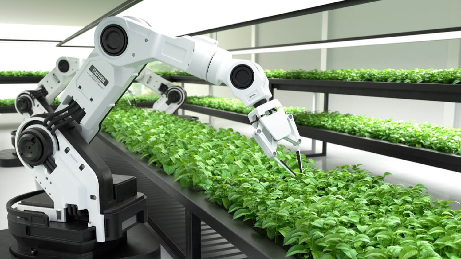 Robotique intelligente Agriculture IA