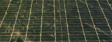 L’une des régions les plus arides de Chine est en train de verdir. La raison : une usine avec sept millions de panneaux solaires