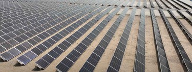 Nous pensions que produire de l’huile d’olive et de l’énergie au même endroit était une utopie. 5 150 panneaux en Espagne ont la solution : le secret est dans la hauteur