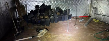 Ils achètent une maison dans une ville de Castellón et découvrent que les anciens propriétaires avaient laissé derrière eux une plantation de marijuana.