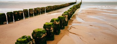 En 2023, vingt camions ont traversé les Pays-Bas chargés de 400 tonnes de marais des Wadden. Sa destination était un canal capable de créer des tempêtes